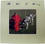 ��ǰ�̹���