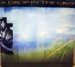 ��ǰ�̹���